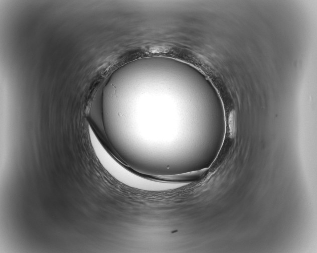 X0000086971443200704301248