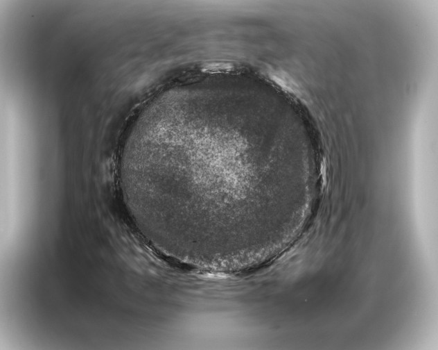 X0000086971445200704301248