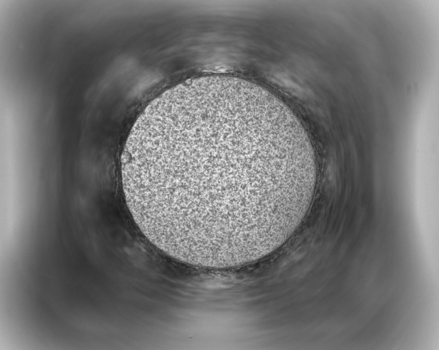 X0000086971446200704301248