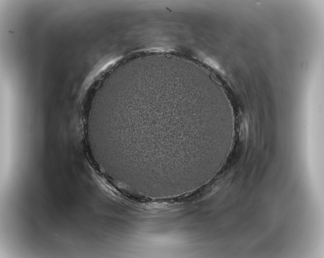 X0000086971448200704301248