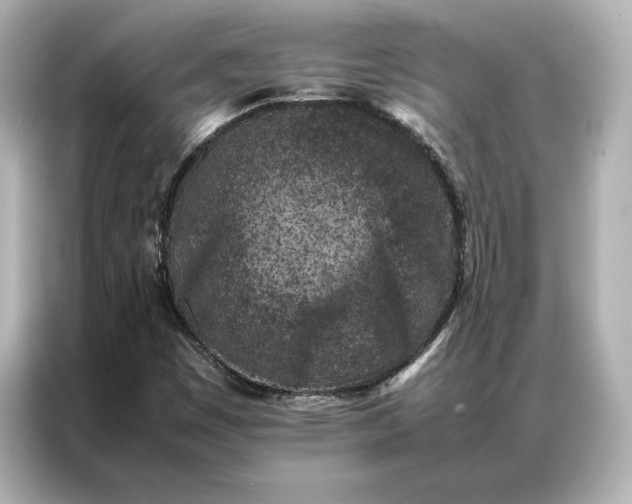 X0000086971449200704301248