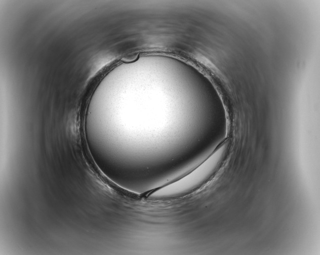 X0000086971450200704301248