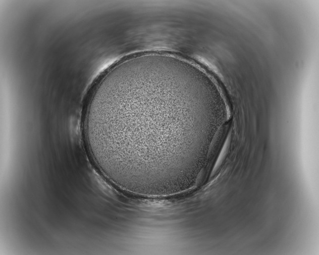 X0000086971452200704301248