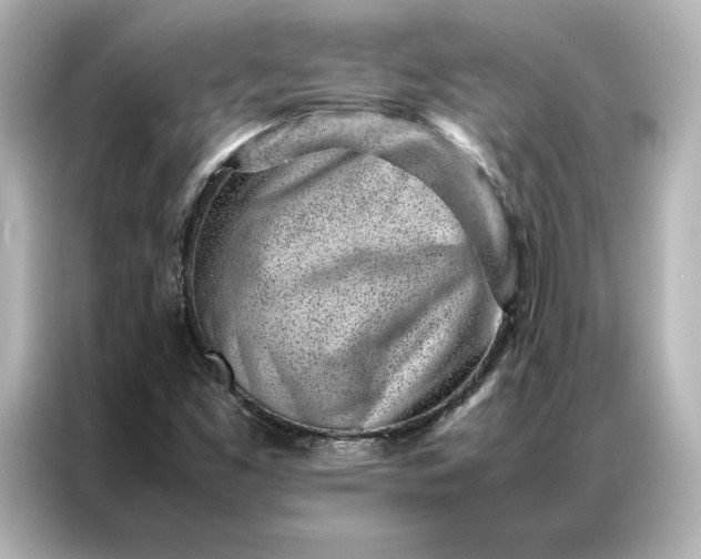 X0000086971453200704301248