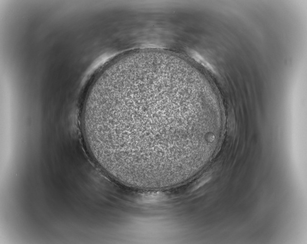 X0000086971454200704301248