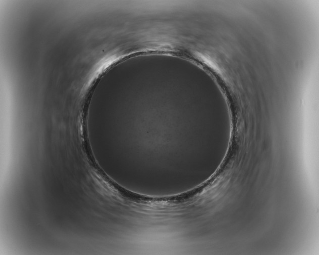 X0000086971455200704301248