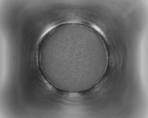 X0000086971456200704301248