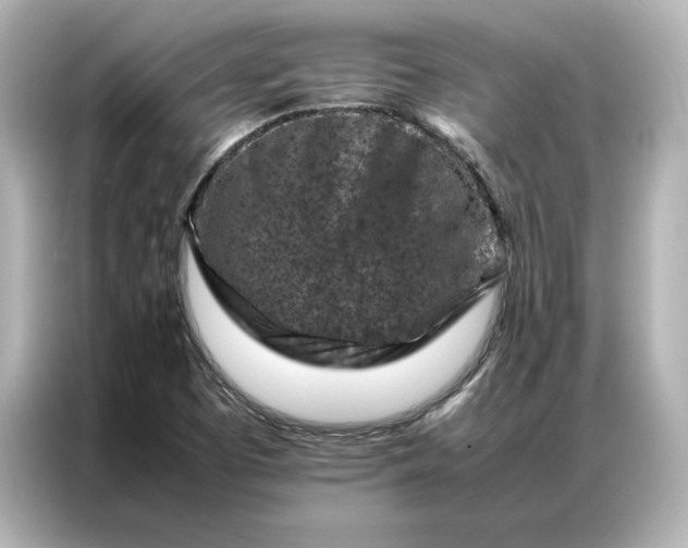 X0000086971457200704301248