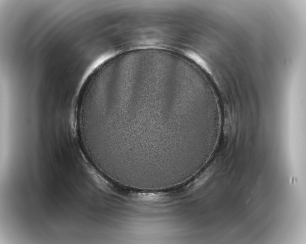 X0000086971458200704301248