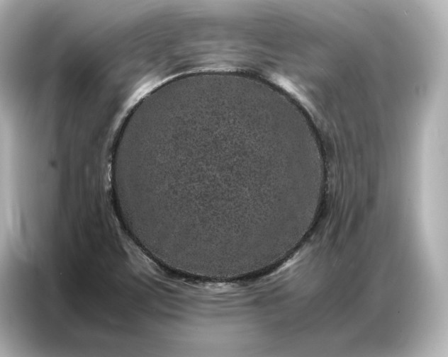 X0000086971459200704301248