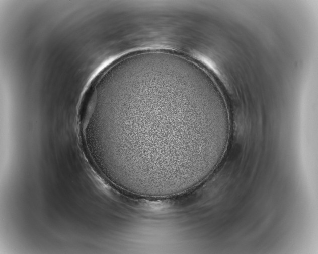 X0000086971460200704301248