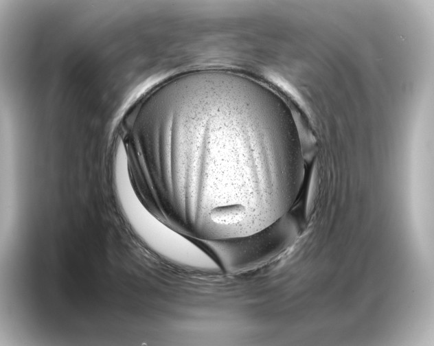 X0000086971461200704301248