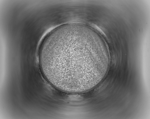 X0000086971462200704301248