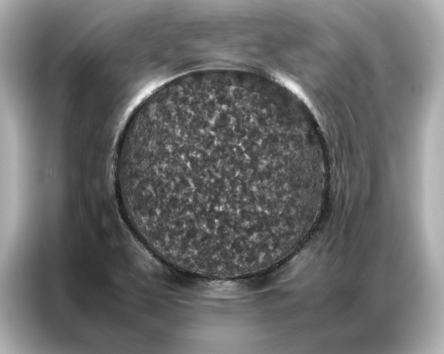 X0000086971463200704301248