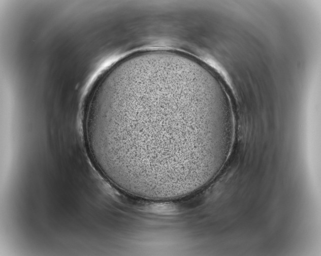 X0000086971464200704301248