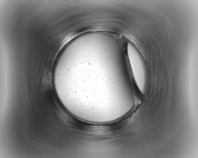 X0000086971465200704301248