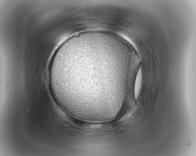 X0000086971467200704301248