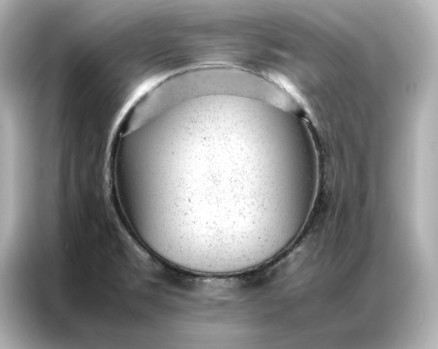 X0000086971469200704301248