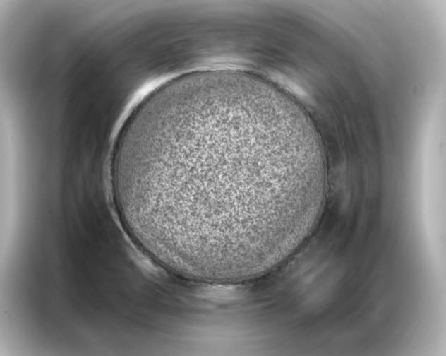 X0000086971470200704301248