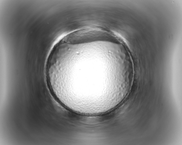 X0000086971471200704301248