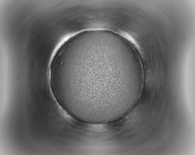 X0000086971472200704301248