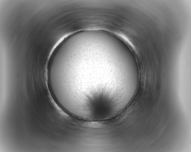 X0000086971476200704301248