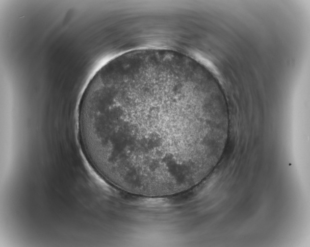 X0000086971479200704301248