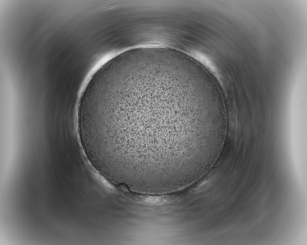 X0000086971480200704301248