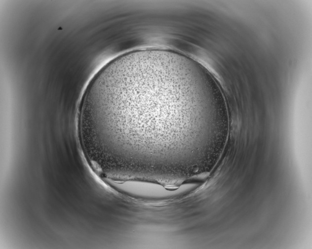 X0000086971484200704301247