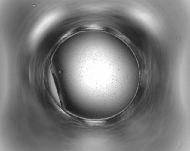 X0000086971487200704301247