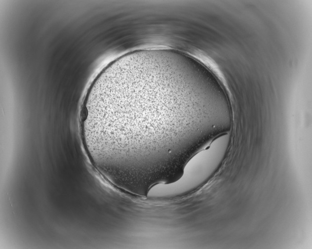 X0000086971488200704301247