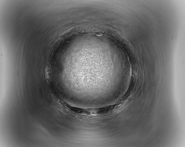 X0000086971490200704301247