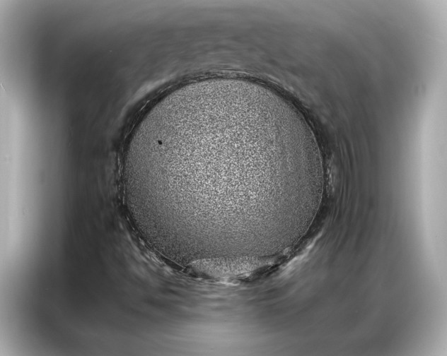 X0000086971494200704301247