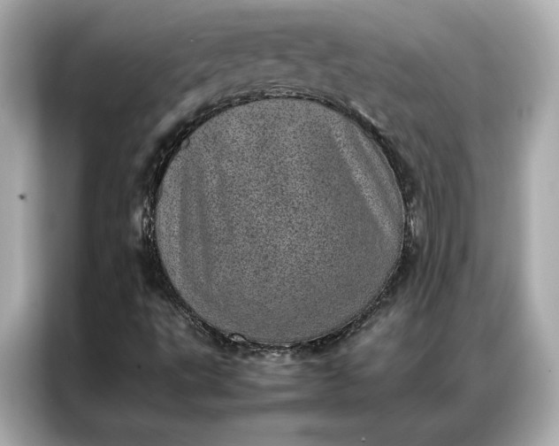 X0000086971495200704301247