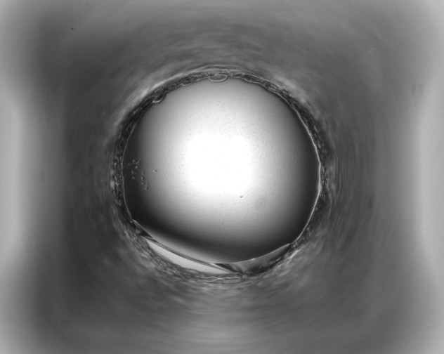 X0000086971496200704301247