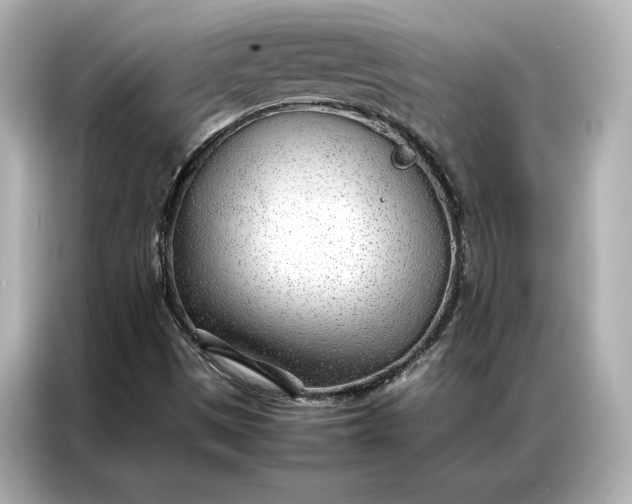 X0000086971497200704301247