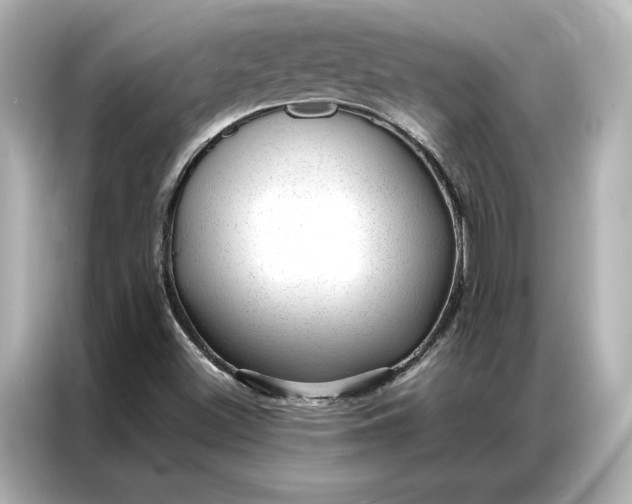 X0000086971500200704301247