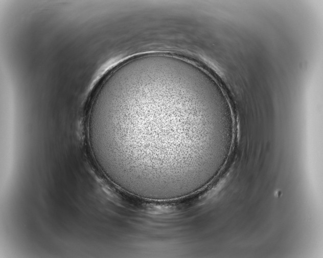 X0000086971501200704301247