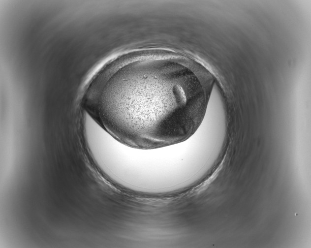 X0000086971502200704301247