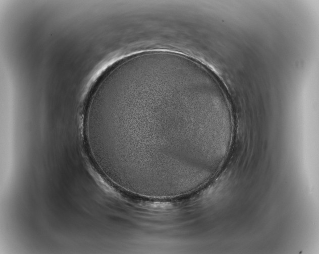 X0000086971503200704301247