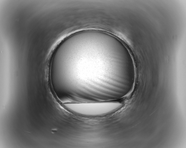 X0000086971504200704301247