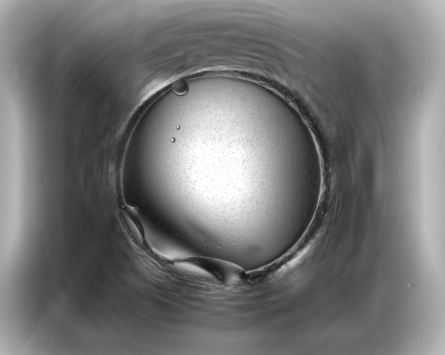 X0000086971505200704301247