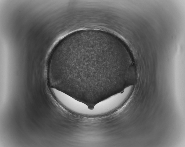 X0000086971506200704301247