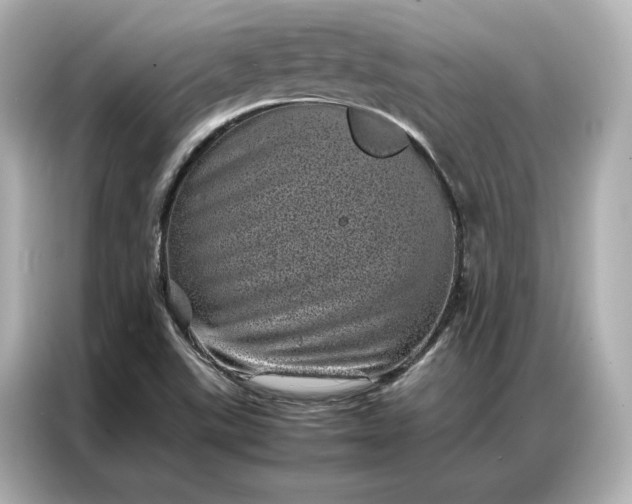 X0000086971507200704301247