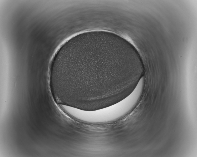 X0000086971508200704301247