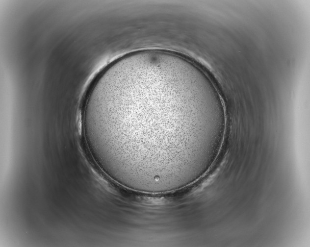 X0000086971509200704301247