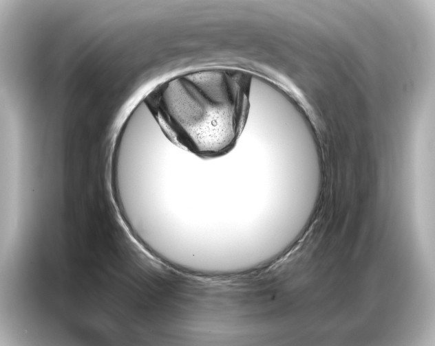 X0000086971512200704301247