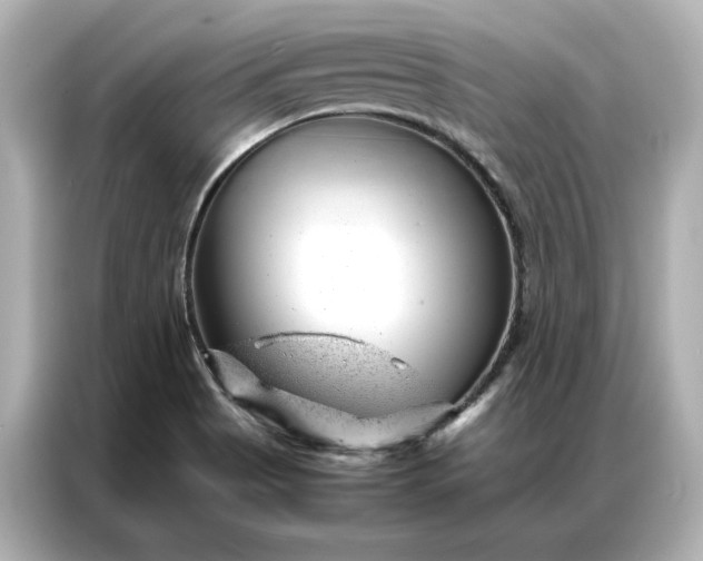 X0000086971513200704301247