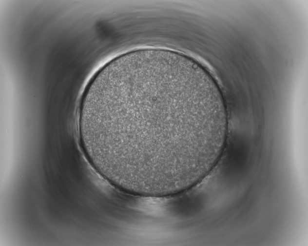 X0000086971514200704301247