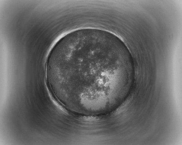 X0000086971515200704301247